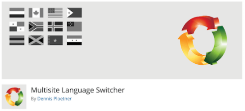 بهترین افزونه برای مدیریت چند سایت در وردپرس - افزونه Multisite Language Switcher